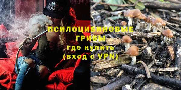 Альфа ПВП Надым