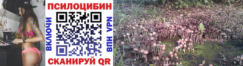 закладка  Сим  Галлюциногенные грибы Psilocybe 